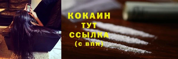 прущие грибы Приозерск