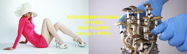 мет Абаза