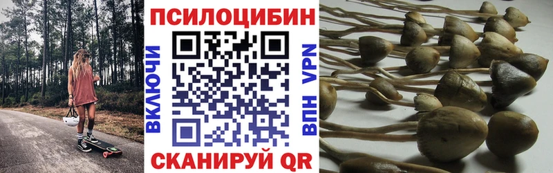 Галлюциногенные грибы GOLDEN TEACHER  блэк спрут   Ардон 